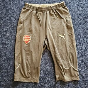 Puma Brown Athletic Shorts